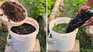 Make Super Fertilizer at Home in Just 7 Days — No Chemicals Needed!