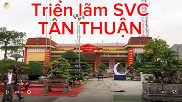New: TRIỂN LÃM CÂY CẢNH XÃ TÂN THUẬN - TỈNH HƯNG YÊN 2025