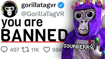 This Gorilla Tag Finger Painter Just RUINED Their Career...