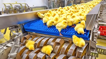 Mind Blowing Machines That Are At Another Level