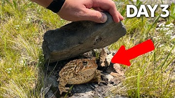 I Flipped 100 Rocks in an Abandoned Quarry Mine!