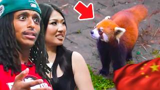 Nina Lin & Agent Visit The Biggest Panda Zoo In The World!