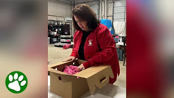 Woman opens box brought into their rescue and breaks down in tears