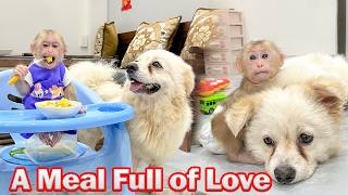 Lala and Bon are given special care by CEO Kien and enjoy a meal full of love!