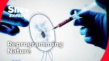 The Scientists Rewriting the Code of Life | PART 2 | SLICE EXPERTS