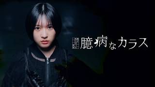 僕が見たかった青空 /「臆病なカラス」Music Video【4K】