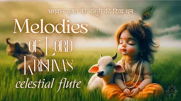 BEST KRISHNA FLUTE MUSIC || The Divine Melody of Krishna || Krishna Songs || Relaxing Music