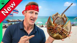 Thailand Seafood Street Food!! Cheapest in Asia!!