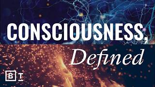 Experts from 4 different fields define consciousness