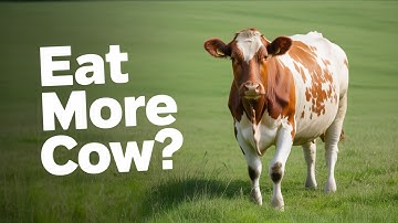 Why Meat Heals Better Than Plant Antioxidants