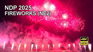 NDP 2025 Fireworks (NE2) from Merlion Park | Stunning Marina Bay Sands & CBD views #NDP2025