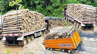 TERLALU OLENG Rc Truk Trailer Angkut Muatan Kayu Truk Laka Lintas Truk Fuso 220Ps OFROAD Rc Handmade