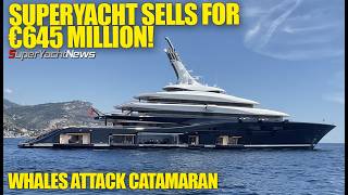Whale Attack on Catamaran | World's Largest EVER Yacht Sale! | SY News Ep520