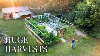 5 YEARS GROWING MY OWN FOOD | Full Garden Tour