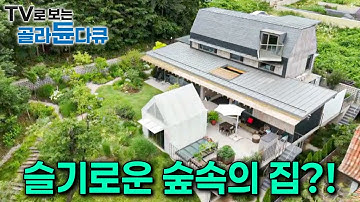 슬기로운 숲속의 집?!ㅣ임야를 이용하는 슬기로운 방법ㅣ작을수록 행복하여라ㅣ건축탐구- 집ㅣTV로 보는 #골라듄다큐