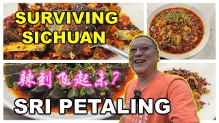 Authentic Sichuan Food In Kuala Lumpur | 吉隆坡正宗的四川菜 | 辣到飞起未? | RESTORAN XIANG CHU 湘厨 | SRI PETALING