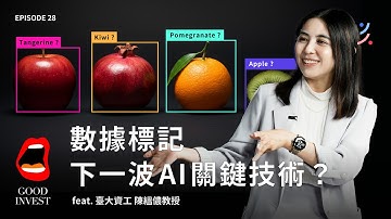 AI 要 #泡沫 了嗎？ 臺大資工陳縕儂教授：#晶片、LLM 以外，這個東西才是被低估的真正機會！｜EP29 ft. @VivianMiuLab #數據 #數據標記 #機器人