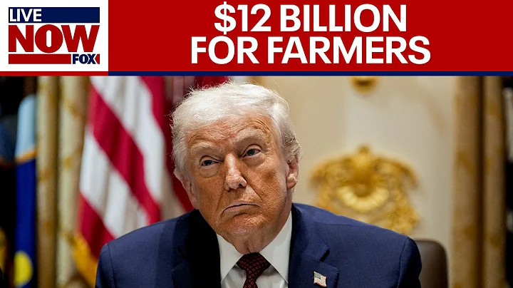 Full Cabinet Meeting: Trump announces $12 billion in aid to farmers