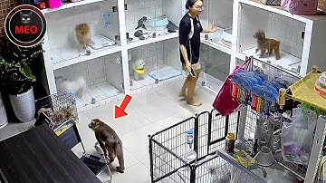 Moments when Thing Went Wrong (P141) | 2025 Idiots at Work & Instant Regret Fails Compilation