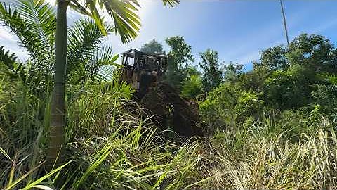 Caterpillar D6R XL Bulldozer Clears Heavy Bush to Build New Road