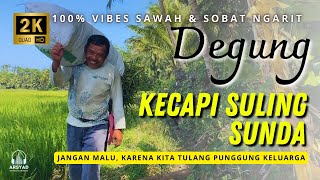 100% VIBES SAWAH DAN NGARET - DEGUNG SUNDA KECAPI SULING