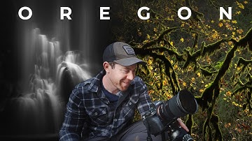 The Art of Simplicity: Photographing Forests and Minimalist Waterfalls