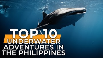 Diving Paradise: The 10 Best Underwater Adventures in the Philippines