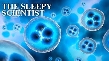 101 Biology Facts, Slowly Explained | Science for Sleep