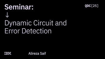 Alireza Seif | Dynamic Circuit and Error Detection | QDC 2025