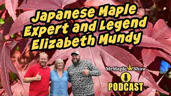 Japanese Maple Expert & Legend Elizabeth Mundy | The MrMaple Show