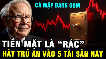 Cảnh Báo 2026: Đừng Giữ Tiền Mặt! Đây Là 5 Thứ Cá Mập Đang Âm Thầm Gom Mạnh Nhất