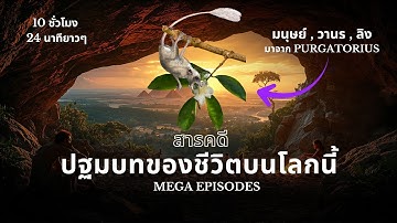 10 ชั่วโมง บนโลกใบนี้ [มี time stamp ให้เลือกฟัง] #สารคดี #ประวัติศาสตร์โลก 