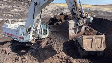 White Cat 385C Excavator Loading Coal On 4 Axle Mercedes & MAN Trucks - Interkat SA