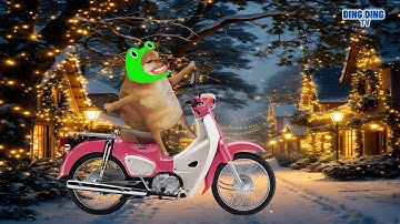 Nhạc chế Ding Ding TV: Đêm noel má chán đời đi tu