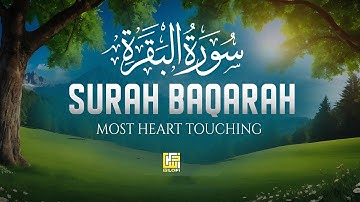 Surah Al-Baqarah Full (سورة البقرة) | Ultimate Peaceful Heart Touching Quranic Voice | ZTV Lofi