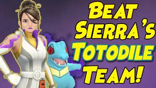 How to Beat Sierra's NEW Shadow Totodile Team in Pokemon GO!
