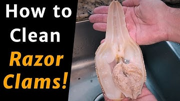 How to Clean Razor Clams