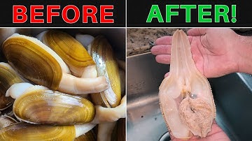 How to Clean Razor Clams