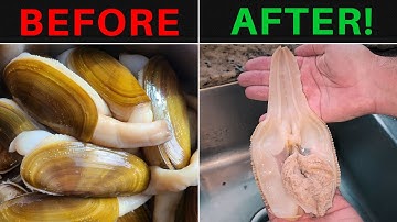 How to Clean Razor Clams