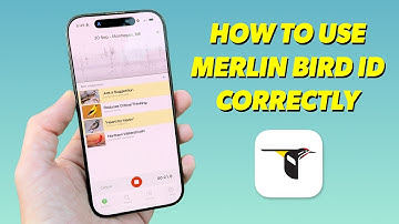 Why Birders Should NOT Use Merlin Sound ID