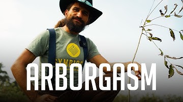 We Planted 4,000 Trees… And We