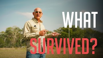 We Planted 4,000 Trees… And We