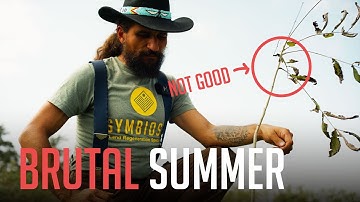 We Planted 4,000 Trees… And We