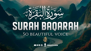 Surah Baqarah Full سورة البقره | Ultimate Relaxing Most Beautiful Heart Calming Quran | WQ