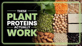6 Plant-Based Proteins That HELP Manage Blood Sugar