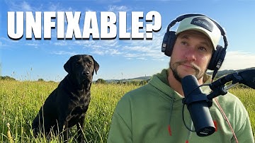 262. The ONE Gun Dog Problem Nobody Can Fix (But Here’s What You Can Try)