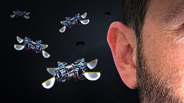 This Tiny Robot Could Spy on You (Or Save Your Life)