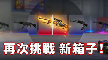 再次挑戰新箱子，我就不信 我出不了貨！【FunCS2 免費領取2美金 現在福利滿滿！】