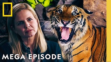 Dive into Black Market Friday | Trafficked with Mariana van Zeller MEGA Episode | Nat Geo