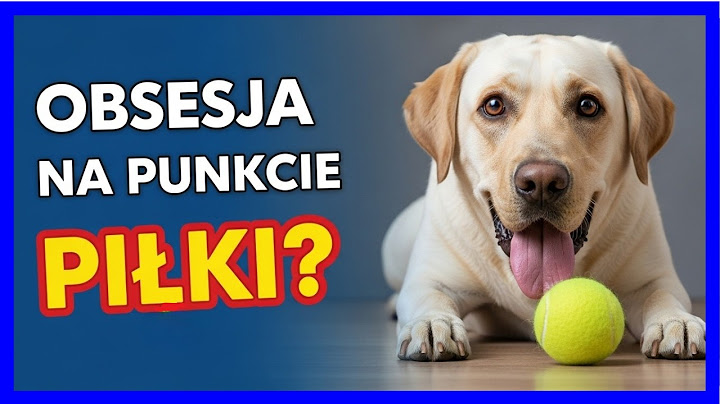 Dlaczego niektóre PSY są OBSESYJNE na punkcie PIŁEK? Oto PRAWDZIWY powód!